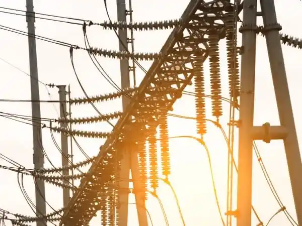 Power Transmission Networks
